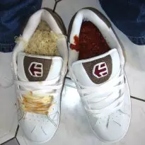 Etnies Callicut - the first days